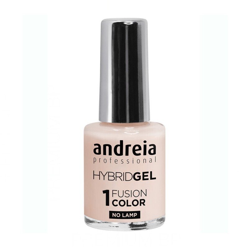 ANDREIA Hybrid Gel H10 Fusion Color 10.5ml